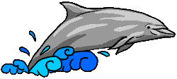 dolphin.gif